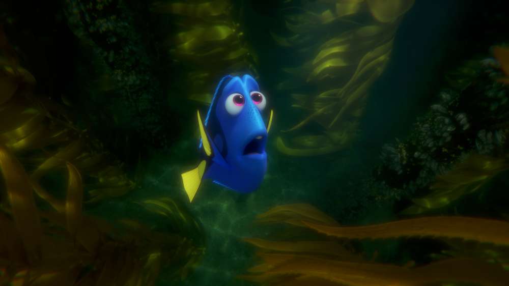 Alla ricerca di Dory