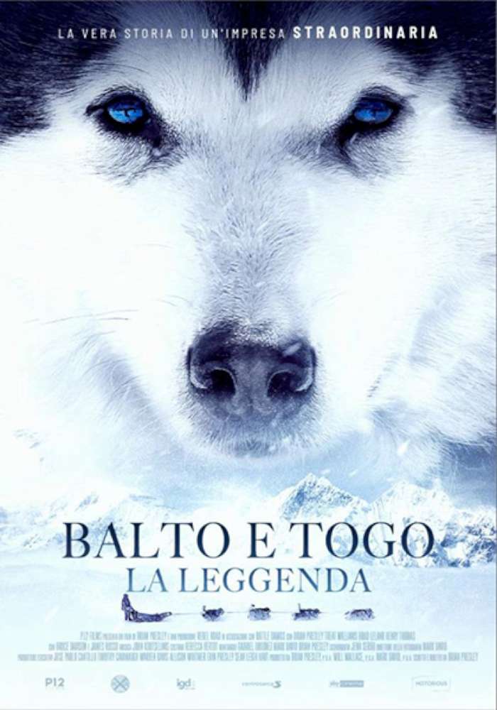 Balto e Togo: la leggenda