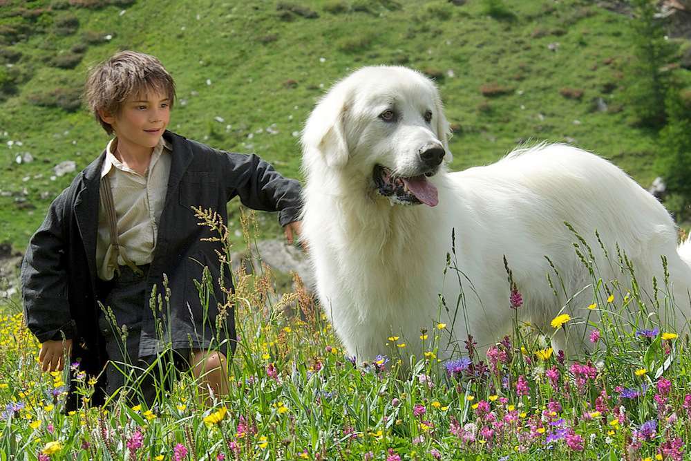 Belle & Sebastien