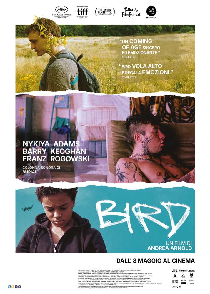 Bird