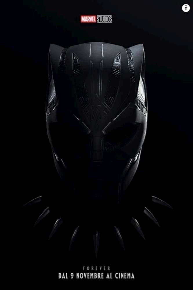 Black Panther - Wakanda Forever