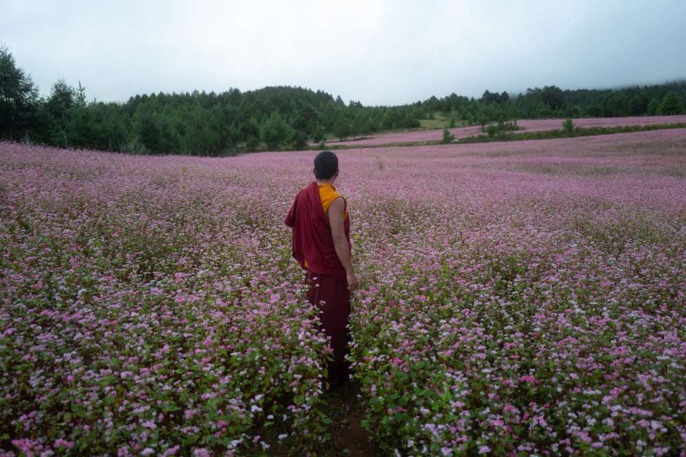 C'era una volta in Bhutan