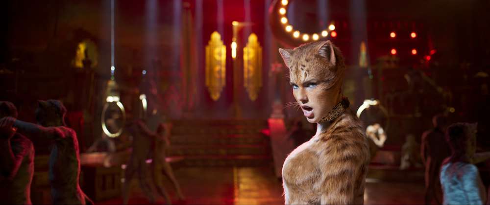 Cats
