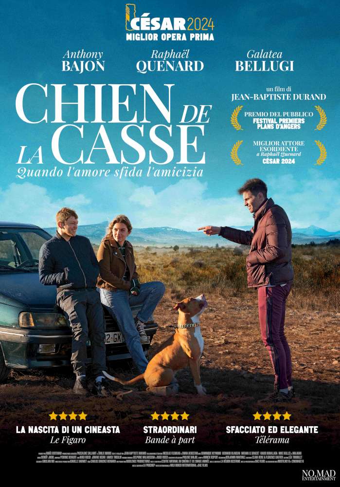 Chien de la casse