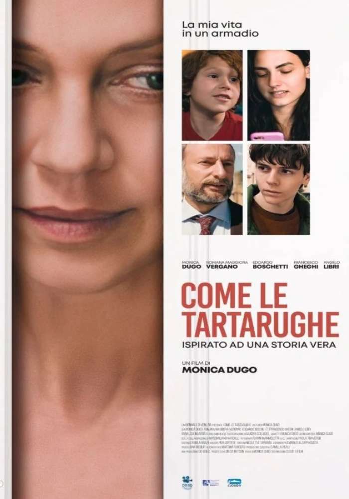 Come le tartarughe
