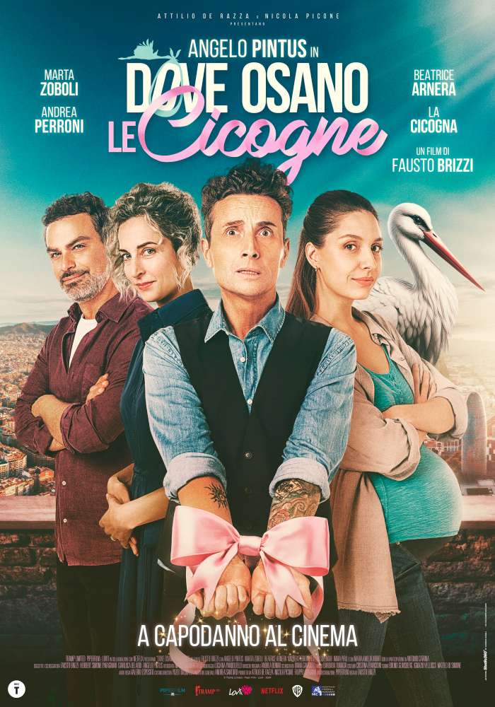 Dove osano le cicogne