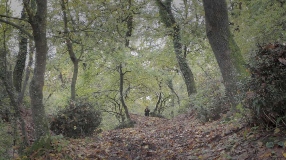 Fantasticherie di un passeggiatore solitario