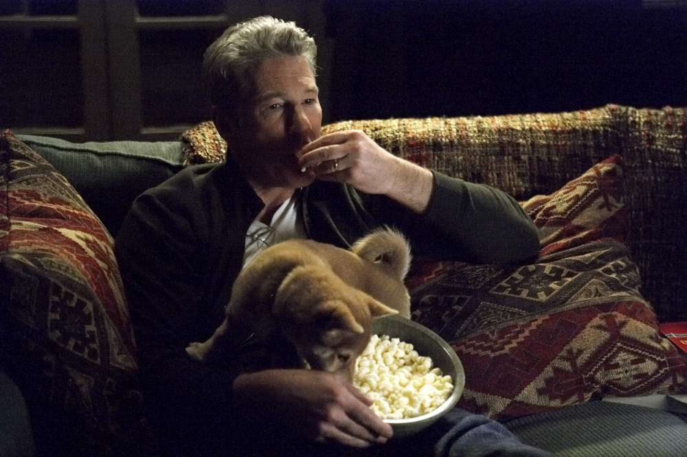 Hachiko - Il tuo migliore amico (Versione digitale)