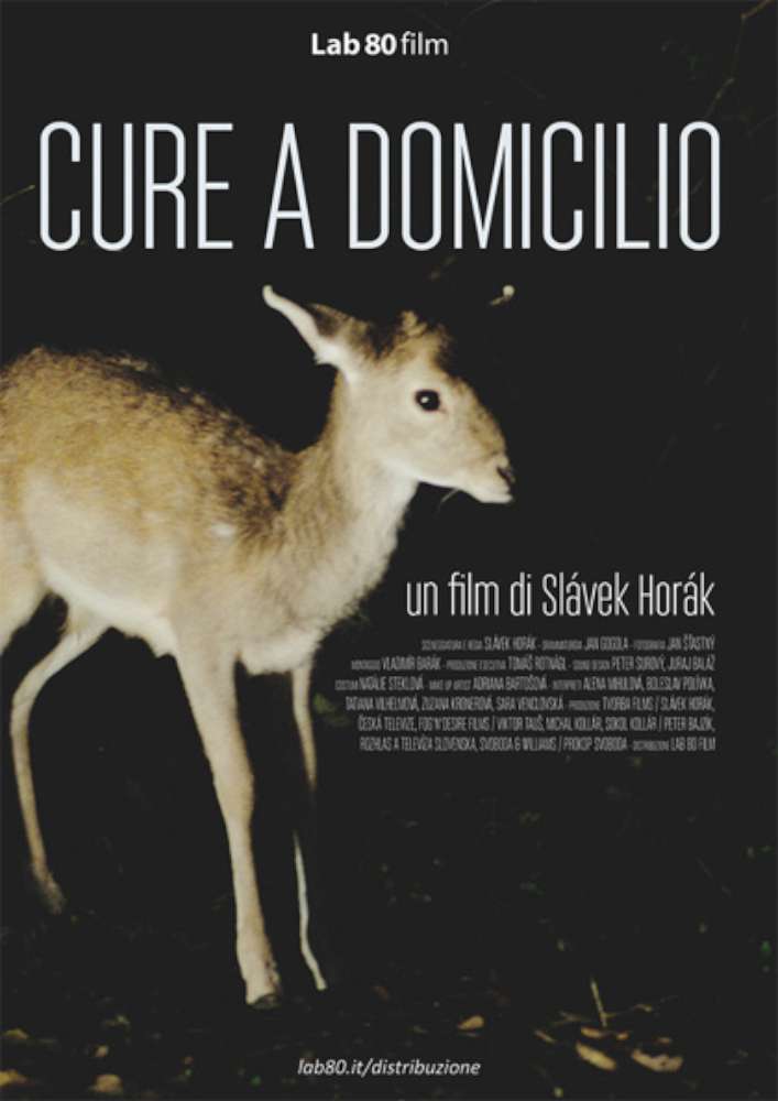 Home care - Cure a domicilio