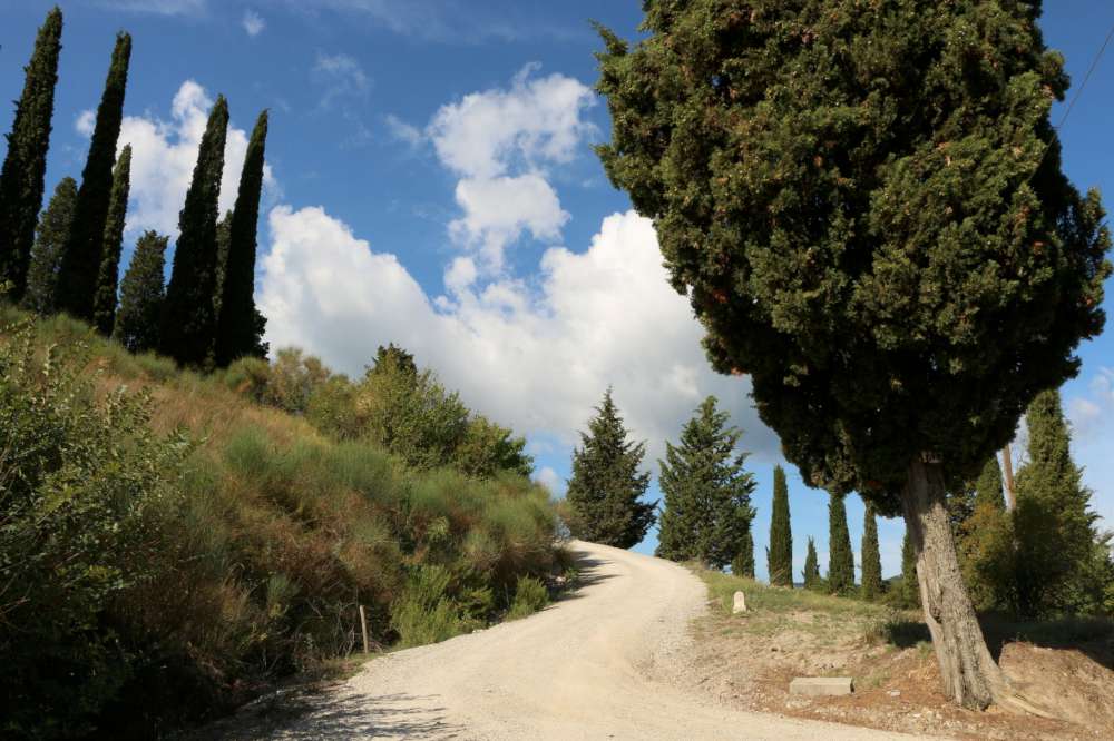 I volti della via Francigena