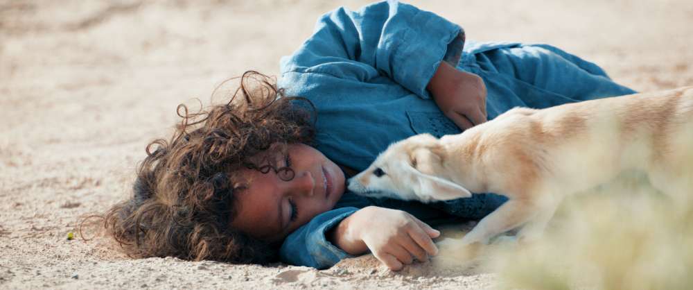 Il figlio del deserto
