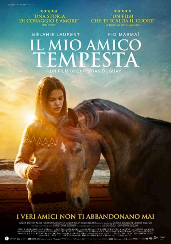 Il mio amico tempesta