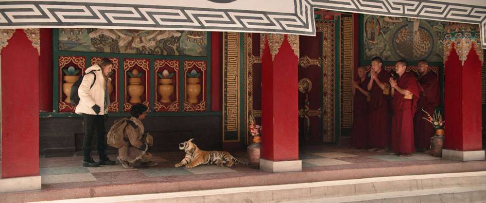 Il ragazzo e la tigre
