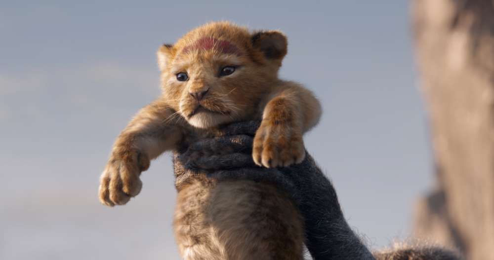 Il Re leone