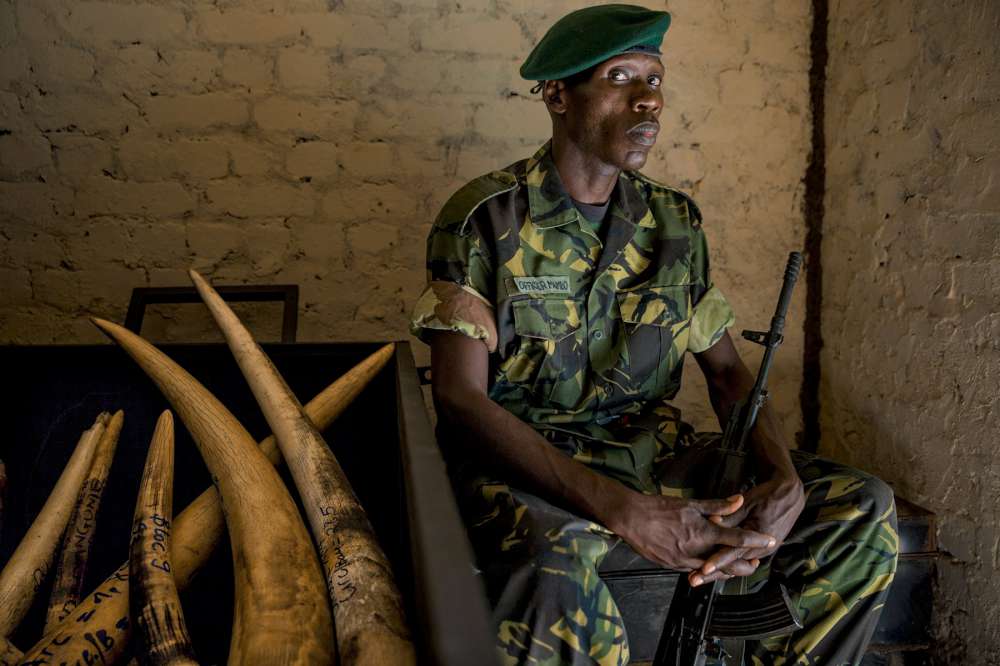 Ivory. A Crime Story