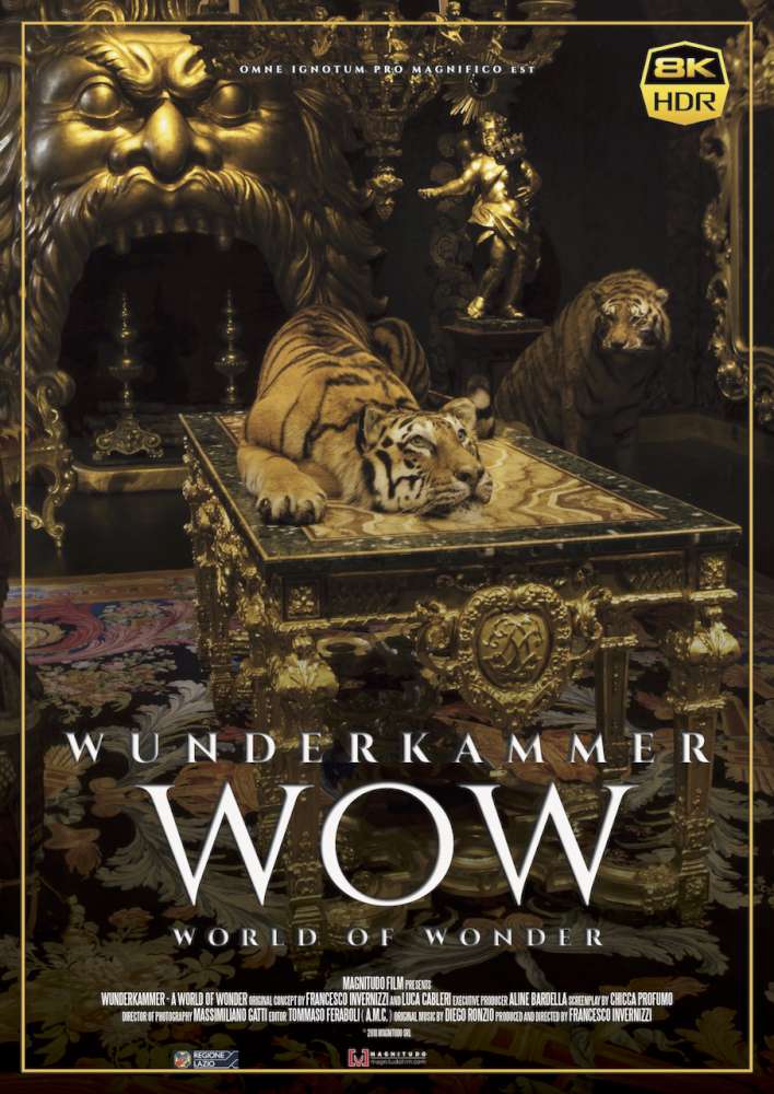 La stanza delle meraviglie - Wow