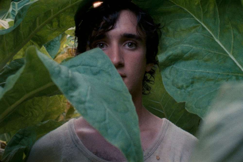 Lazzaro felice