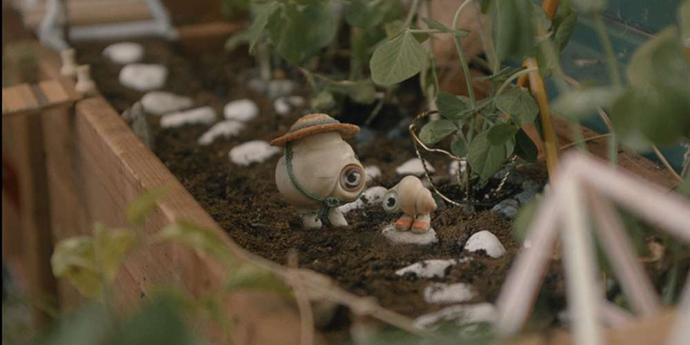 Marcel - The Shell