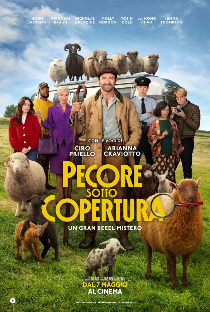 Pecore sotto copertura
