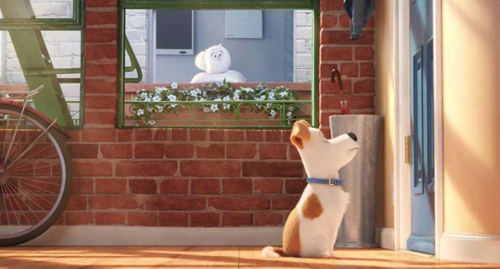 Pets - Vita da animali