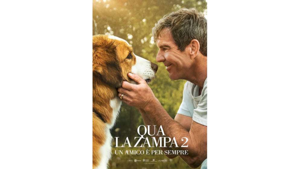 Qua la zampa 2 - Un amico è per sempre