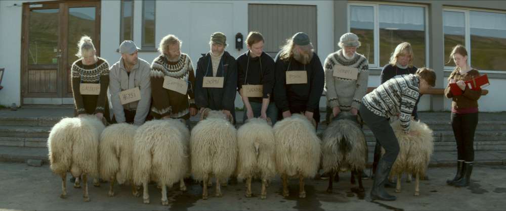 Rams -Storia di due fratelli e otto pecore