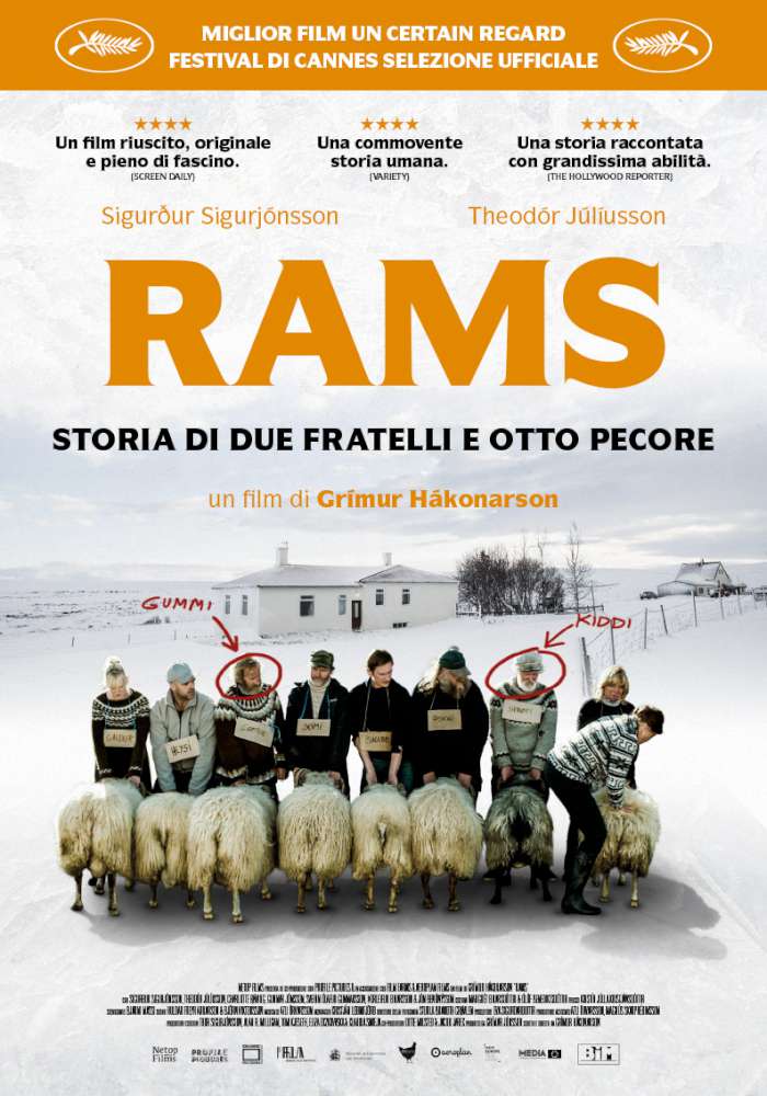 Rams -Storia di due fratelli e otto pecore