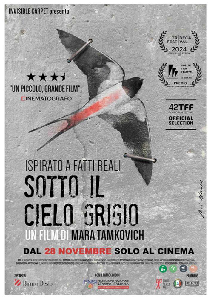 Sotto il cielo grigio