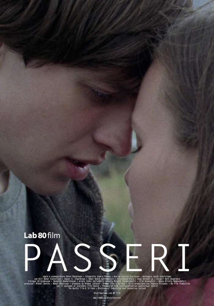 Sparrows - Passeri