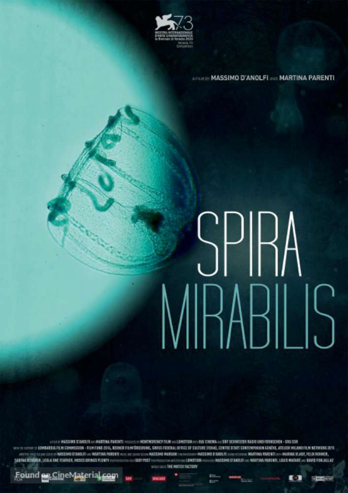 Spira Mirabilis