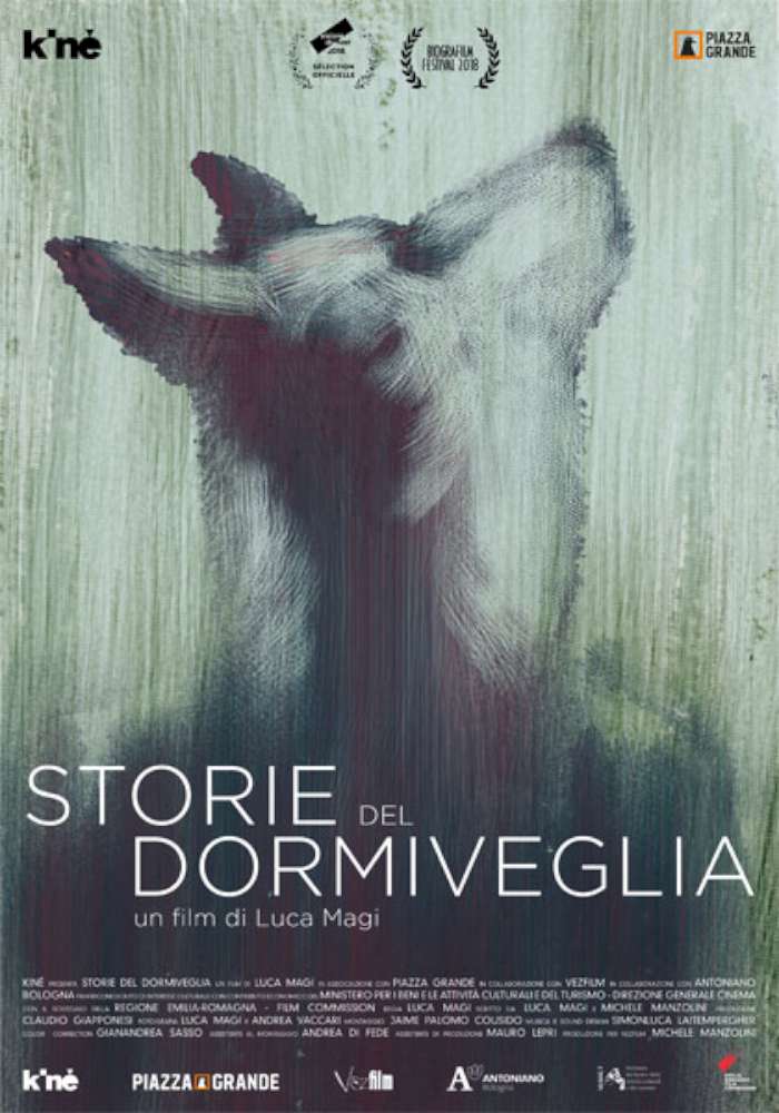 Storie del dormiveglia