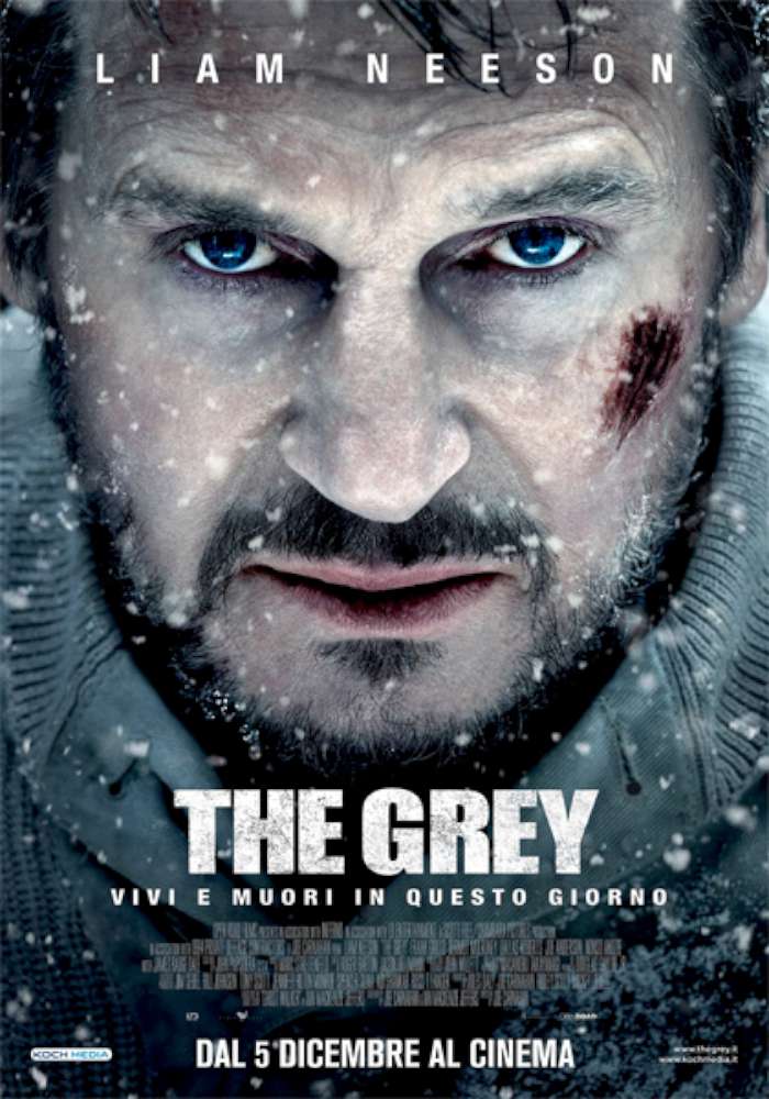 The grey