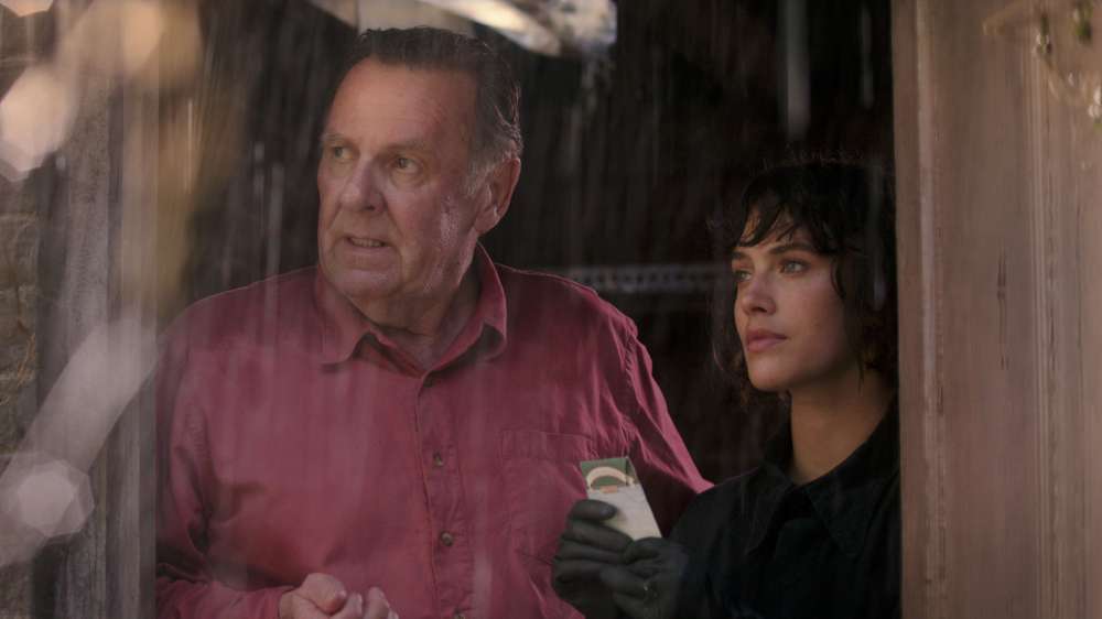 This Beautiful Fantastic