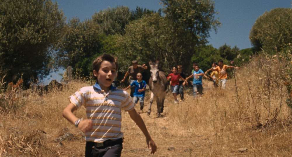 Treulababbu (Le ragioni dei bambini)