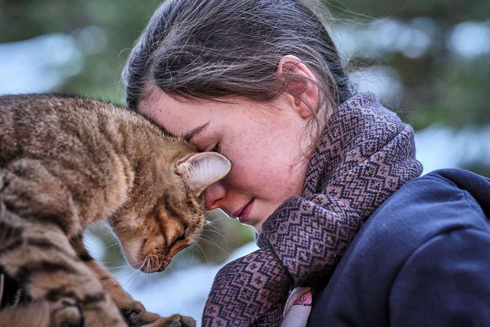 Vita da gatto