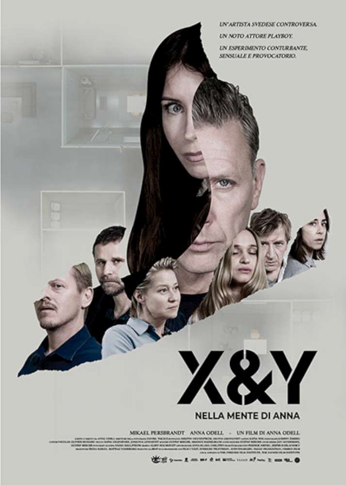X & Y